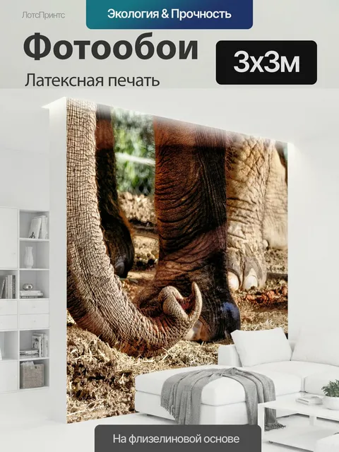 300 × 300 см · Латексная печать