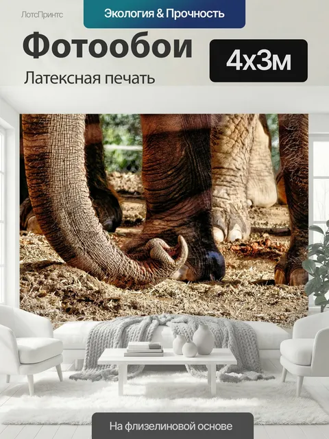 400 × 300 см · Латексная печать