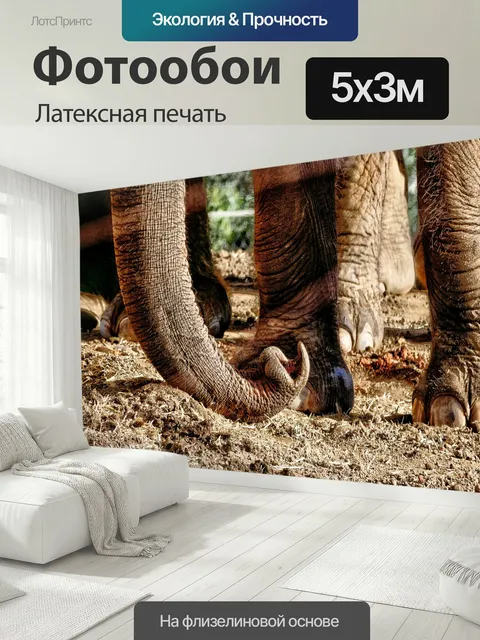 500 × 300 см · Латексная печать