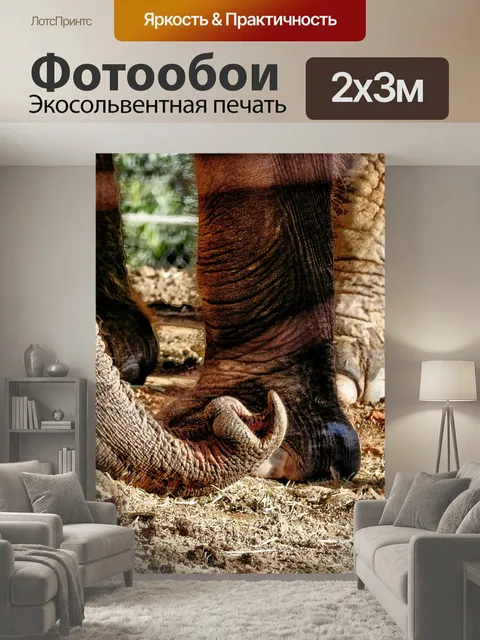 200 × 300 см · Экосольвентная печать