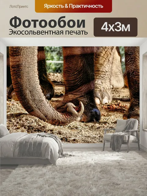 400 × 300 см · Экосольвентная печать