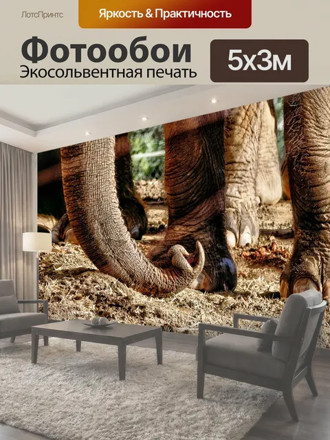 Фотообои Ножки и сундук слона Художественное прикосновение к фотографии ствола и ног