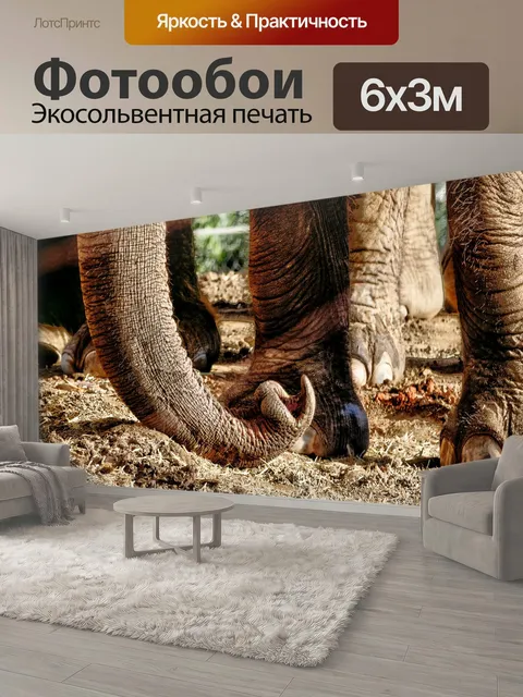 600 × 300 см · Экосольвентная печать