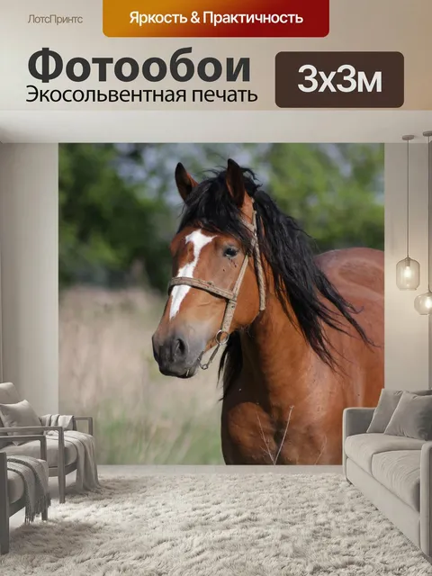 Фотообои Лошадь, конь, кобыла