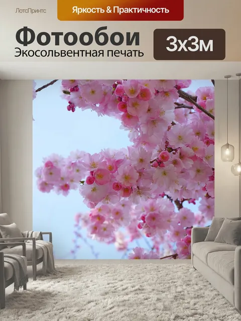 Фотообои Японская вишня, расцветает, японская сакура