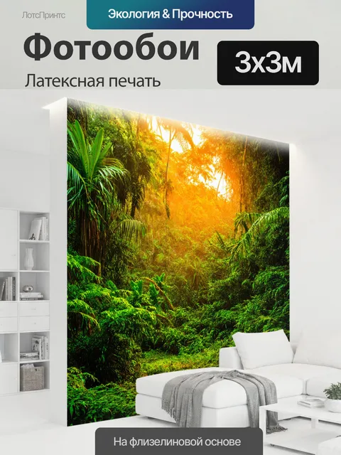 300 × 300 см · Латексная печать