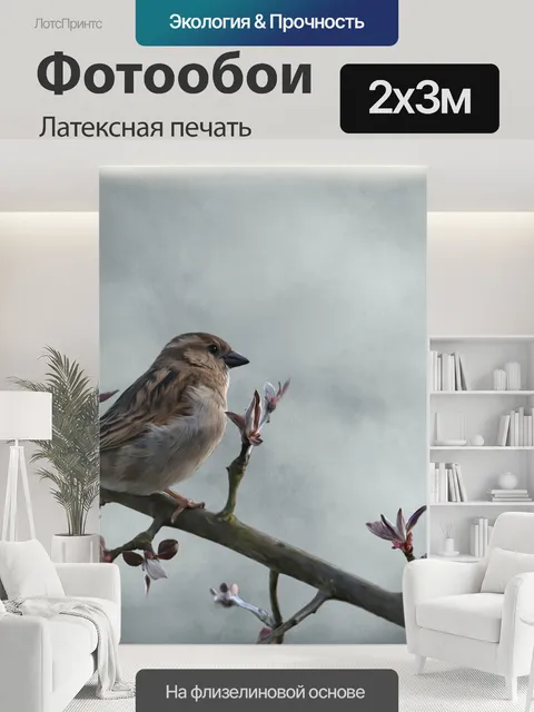 200 × 300 см · Латексная печать