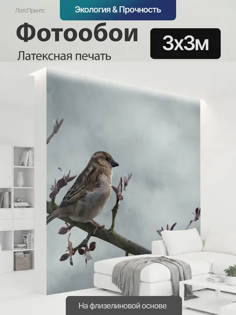 300 × 300 см · Латексная печать