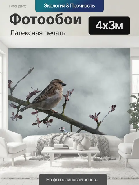 400 × 300 см · Латексная печать