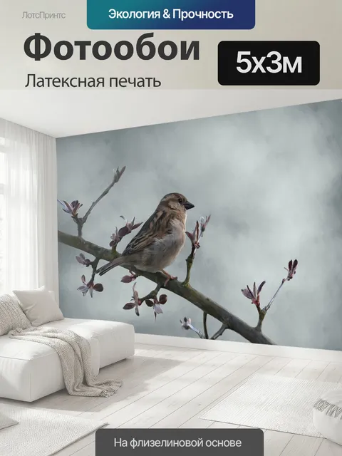 500 × 300 см · Латексная печать