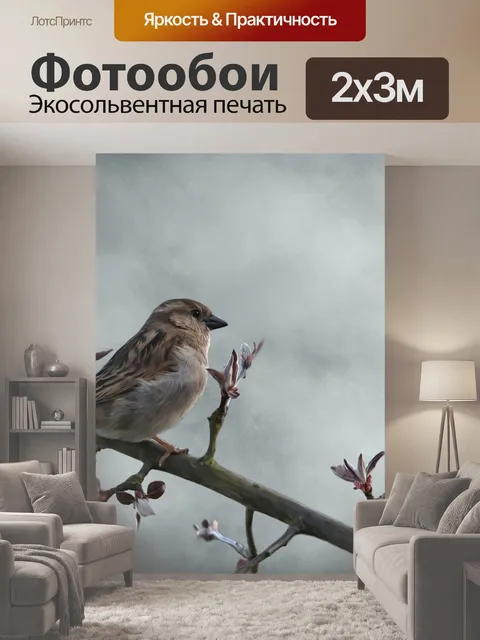 200 × 300 см · Экосольвентная печать