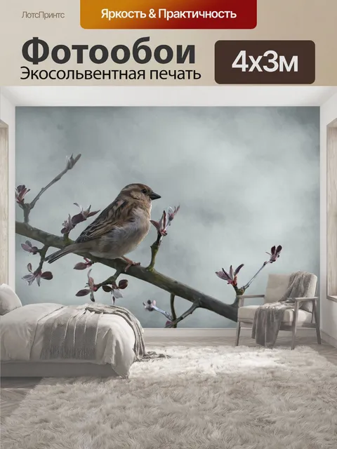 400 × 300 см · Экосольвентная печать