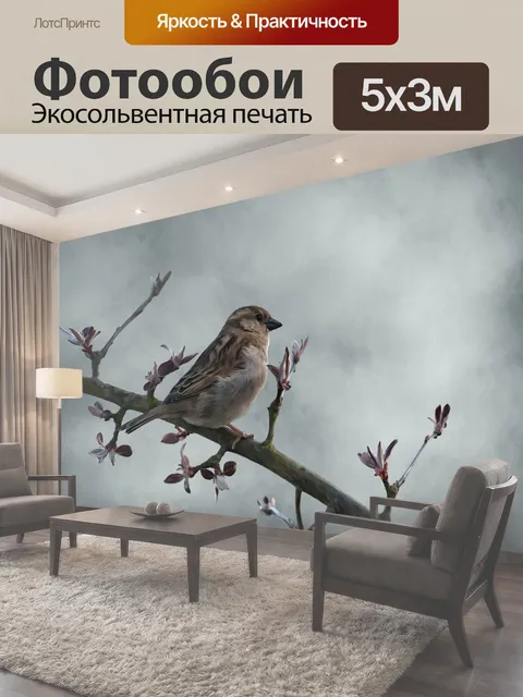 500 × 300 см · Экосольвентная печать