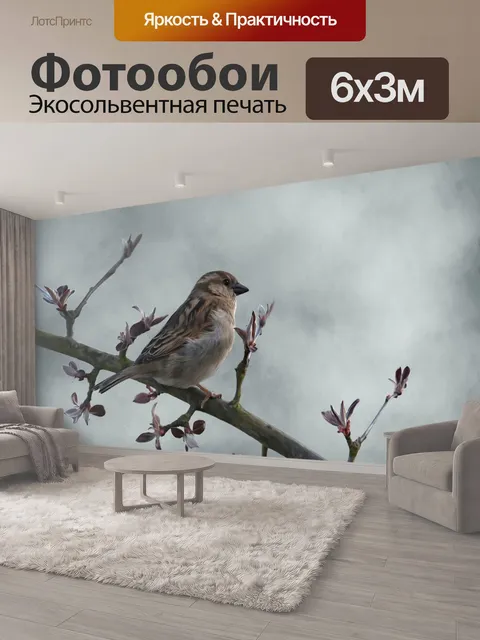 600 × 300 см · Экосольвентная печать