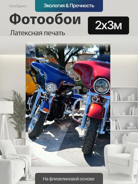 200 × 300 см · Латексная печать