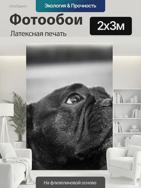 200 × 300 см · Латексная печать