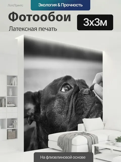 300 × 300 см · Латексная печать