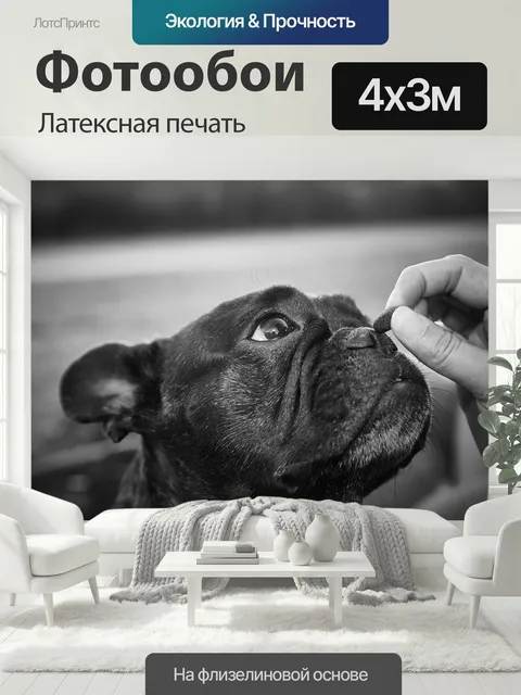400 × 300 см · Латексная печать