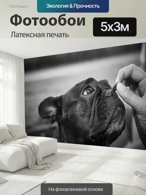 500 × 300 см · Латексная печать