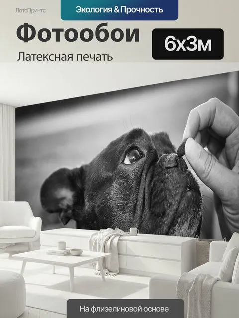 600 × 300 см · Латексная печать