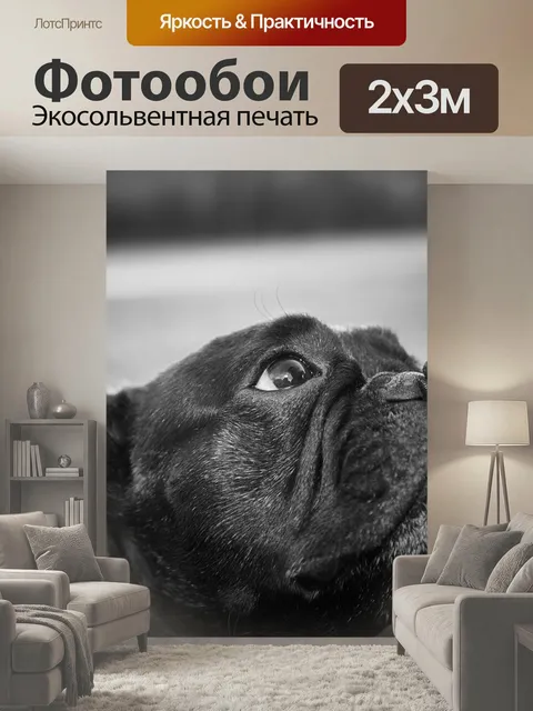 200 × 300 см · Экосольвентная печать