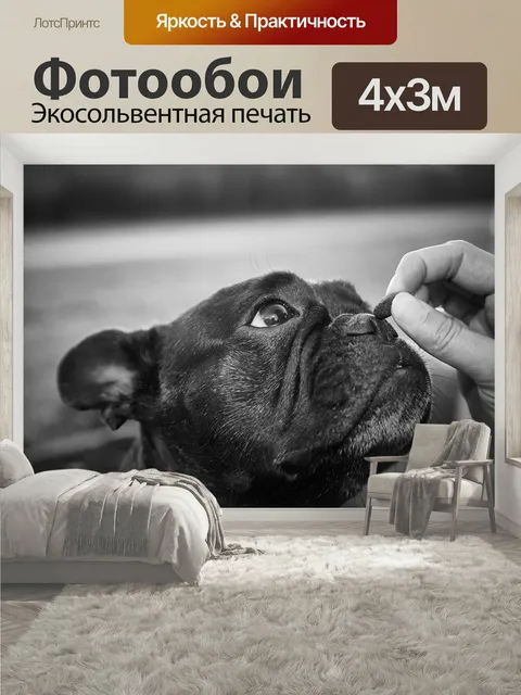 400 × 300 см · Экосольвентная печать
