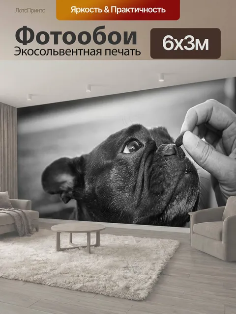 600 × 300 см · Экосольвентная печать