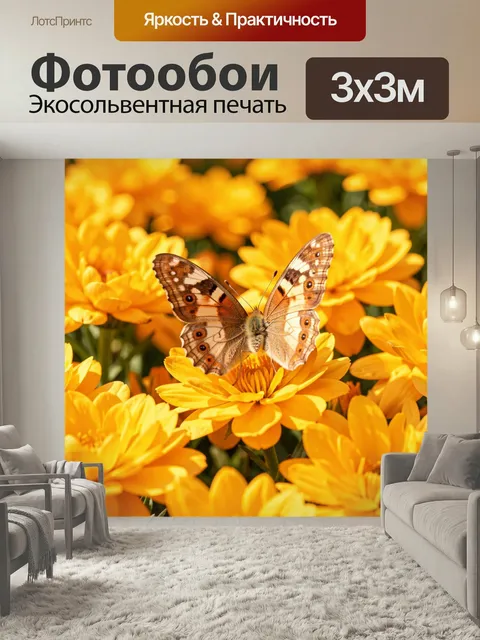 Фотообои Бабочка среди желтых цветов. Яркая крупная бабочка с узорными крыльями парит над густым цветением золотистых …