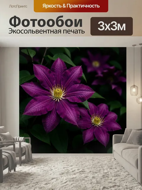 Фотообои Фиолетовые клематисы на тёмном фоне