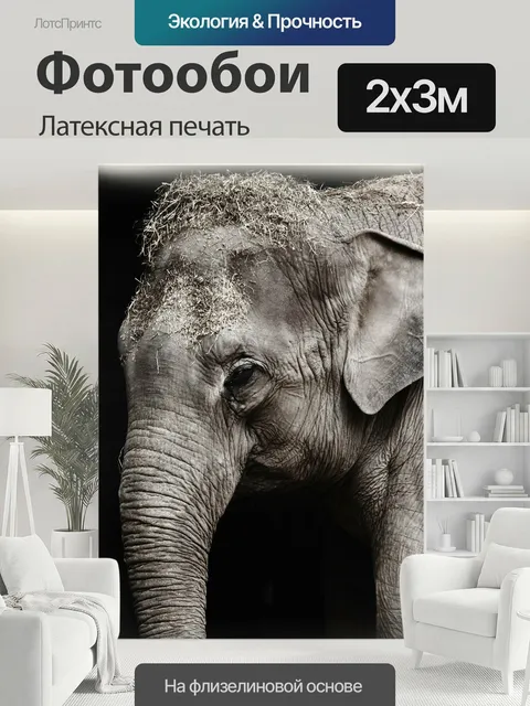 200 × 300 см · Латексная печать