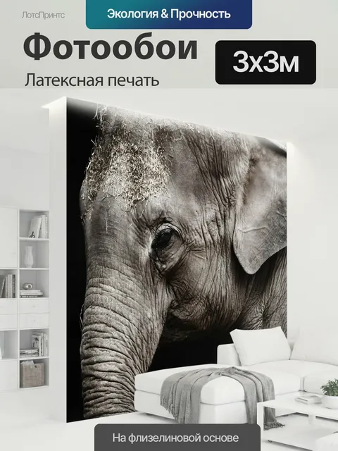 300 × 300 см · Латексная печать