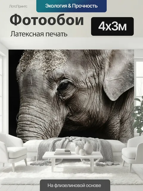 400 × 300 см · Латексная печать