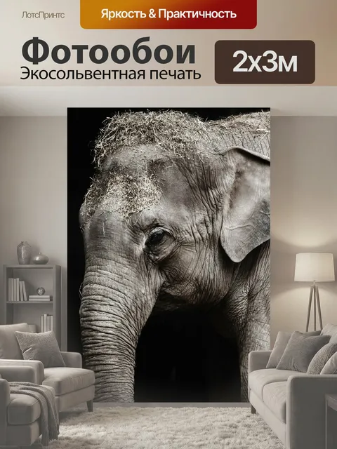 200 × 300 см · Экосольвентная печать