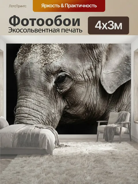 400 × 300 см · Экосольвентная печать
