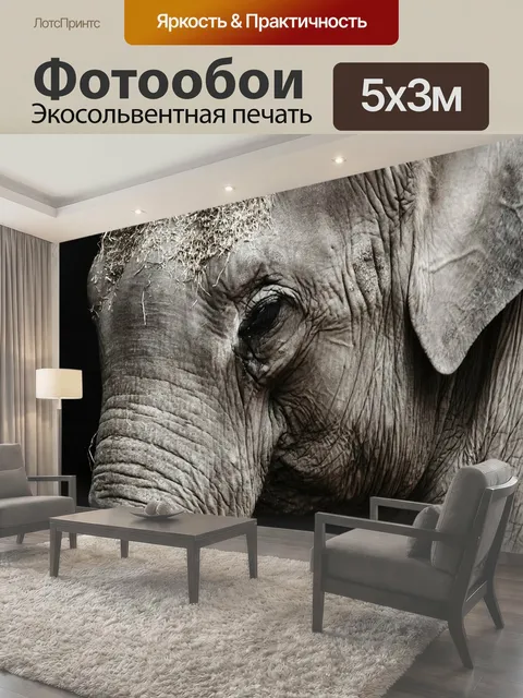 500 × 300 см · Экосольвентная печать