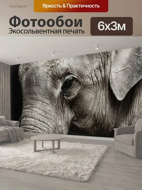600 × 300 см · Экосольвентная печать