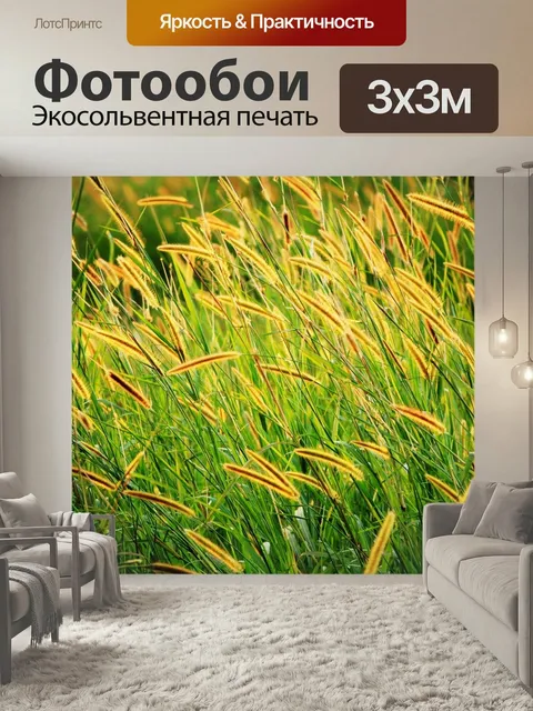 Фотообои Семян трав, золотые семена, длинные семена