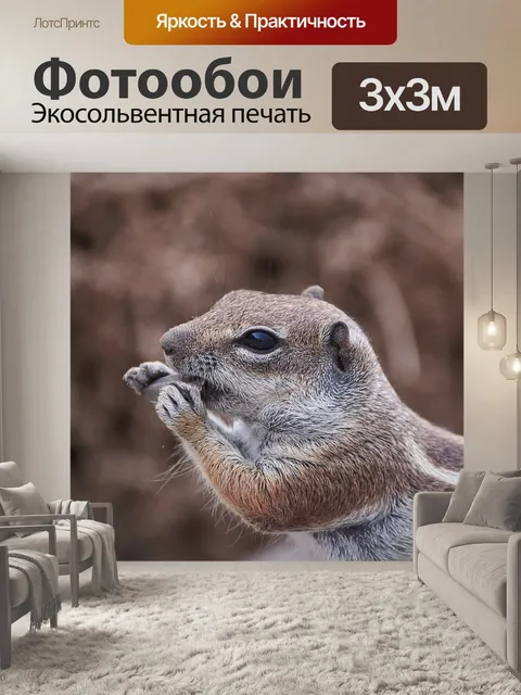 Фотообои Суслик, приручить, сладкий