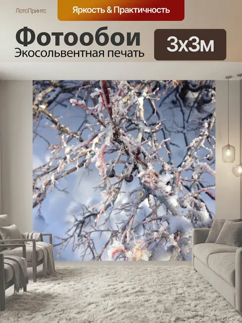 Фотообои Зима, ветви, зимние деревья
