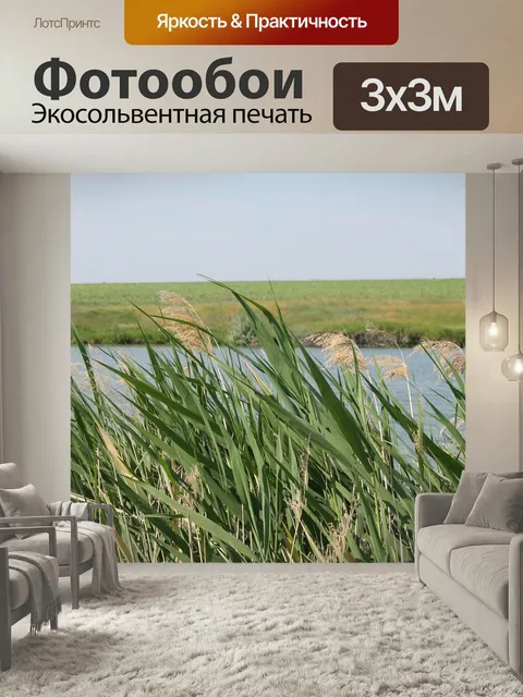 Фотообои Камыш, трава, лето
