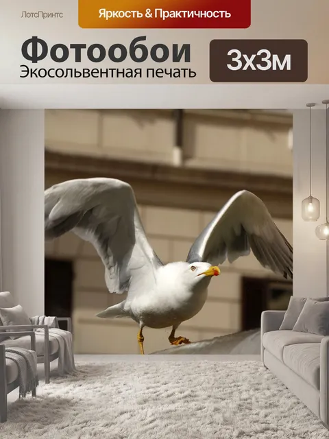 Фотообои Чайка, птица, полет
