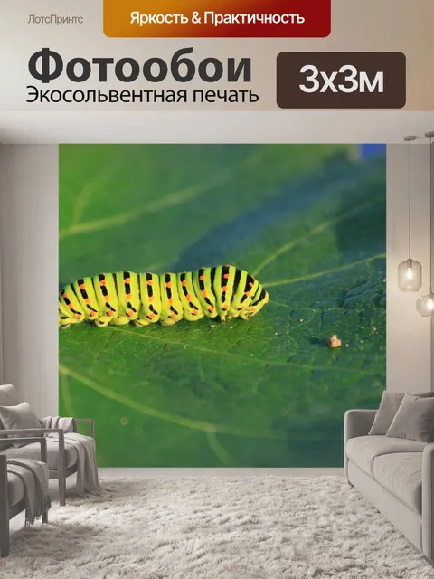 Фотообои Гусеница, зеленый, лист