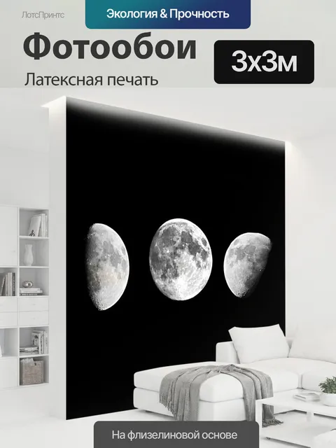 300 × 300 см · Латексная печать