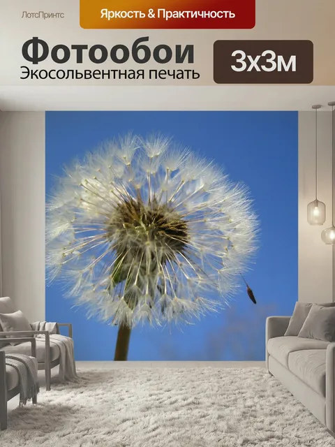 Фотообои Одуванчик, небеса, цветок