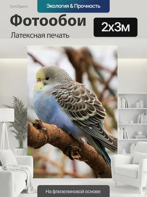 200 × 300 см · Латексная печать