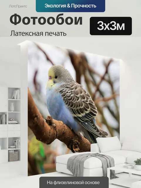 300 × 300 см · Латексная печать