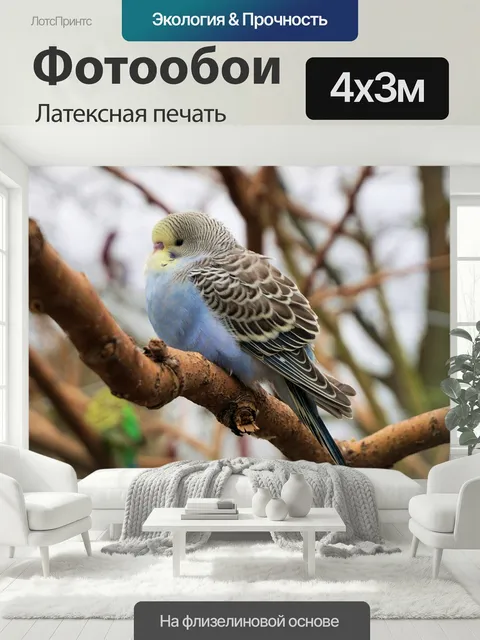 400 × 300 см · Латексная печать