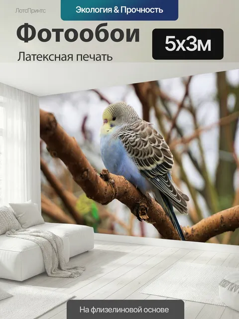 500 × 300 см · Латексная печать