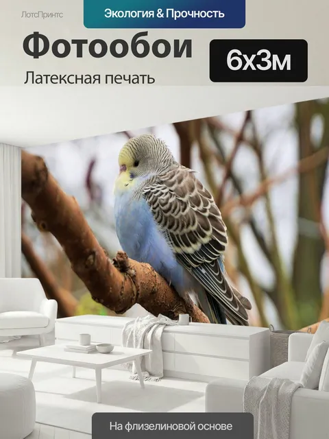 600 × 300 см · Латексная печать