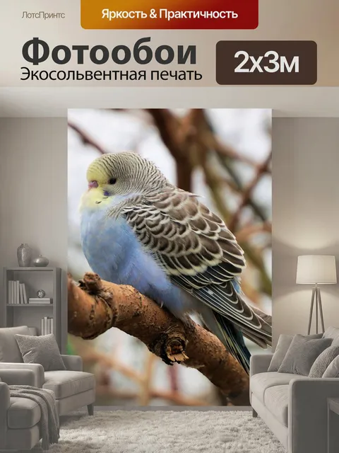 200 × 300 см · Экосольвентная печать